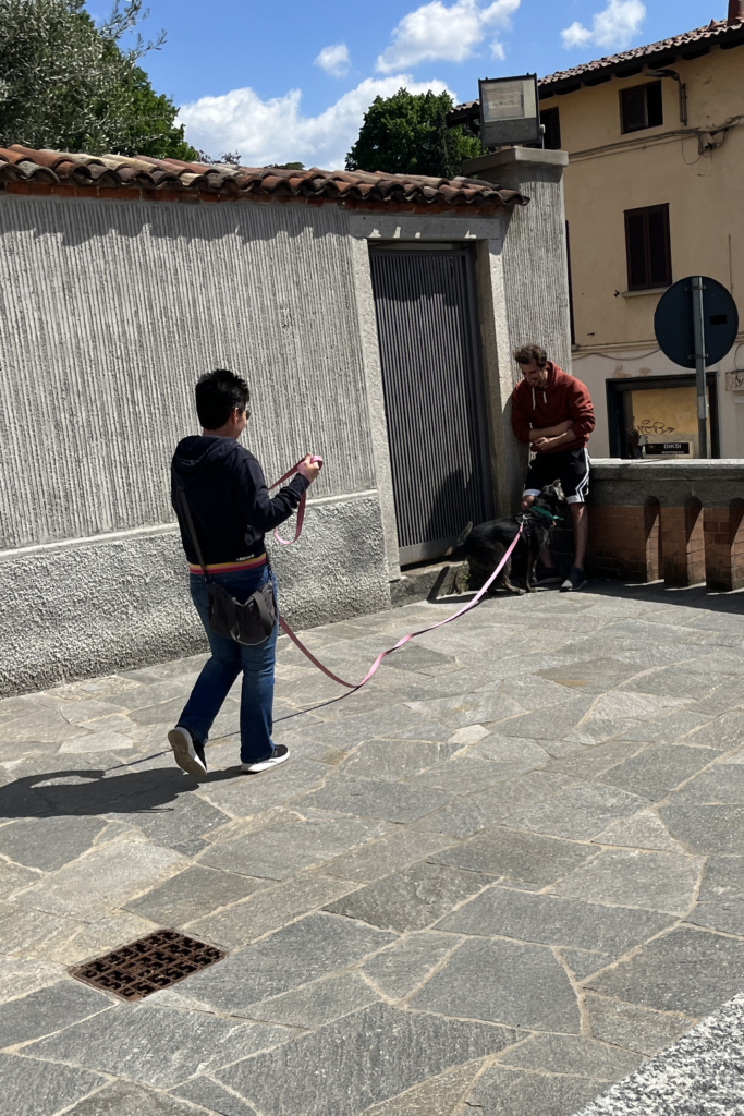 Ritrovamento del disperso di mantrailing