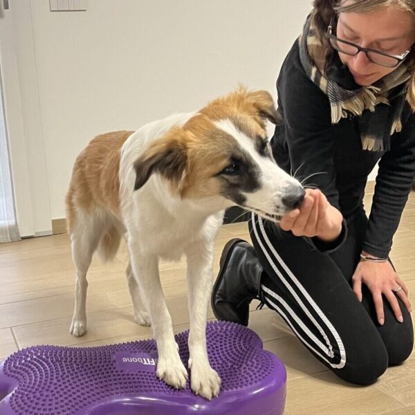 Servizio di riabilitazione comportamentale